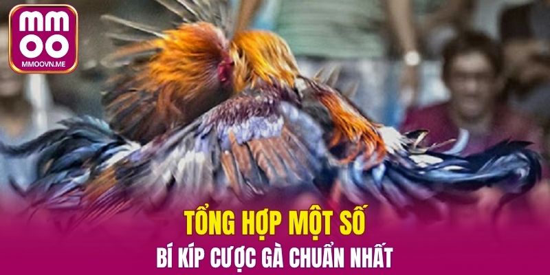 Việc đánh giá dựa vào nhiều yếu tố khác nhau