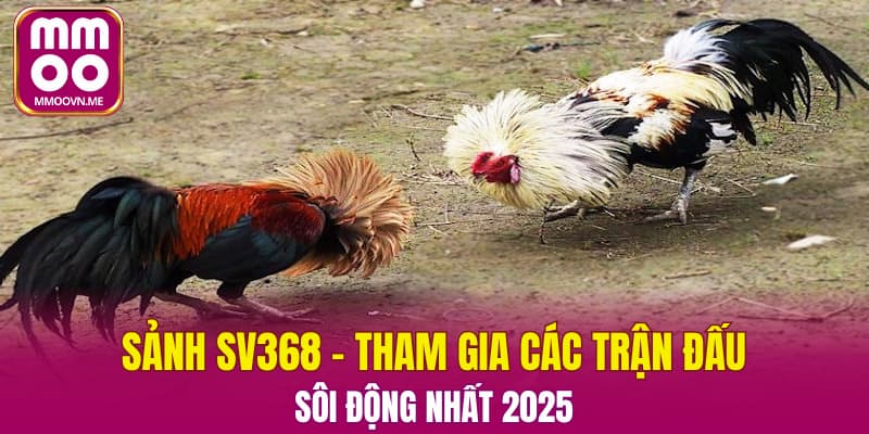 Sảnh SV368 – Tham Gia Các Trận Đấu Sôi Động Nhất 2025