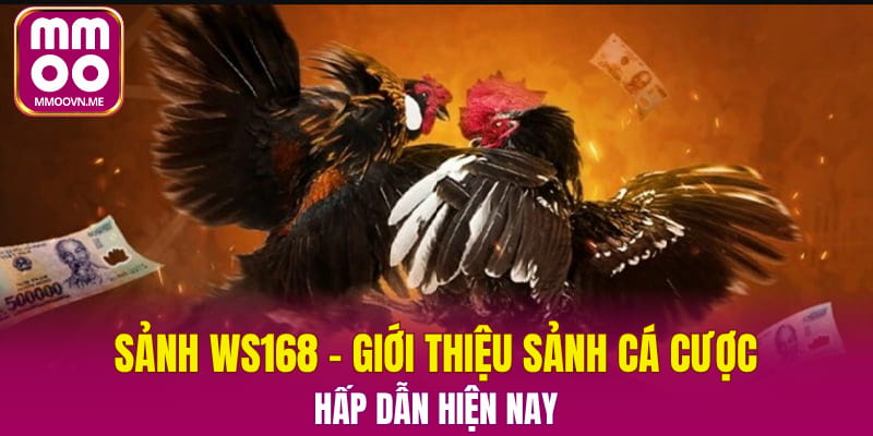 Sảnh WS168 – Giới Thiệu Sảnh Cá Cược Hấp Dẫn Hiện Nay
