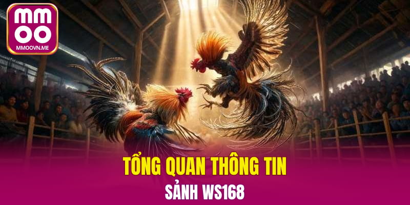 Tổng quan thông tin sảnh WS168