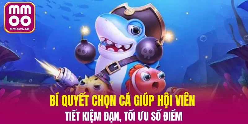 Bí quyết chọn cá giúp hội viên tiết kiệm đạn, tối ưu số điểm