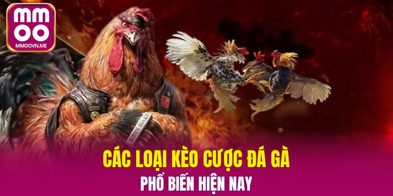 Các loại kèo cược đá gà phổ biến hiện nay