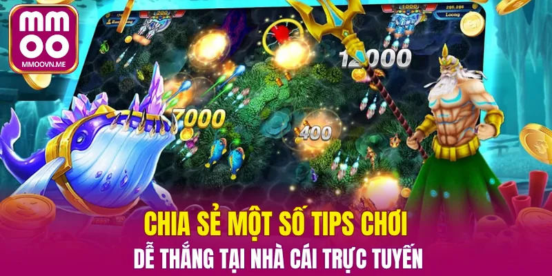 Chia sẻ một số tips chơi dễ thắng tại nhà cái trực tuyến