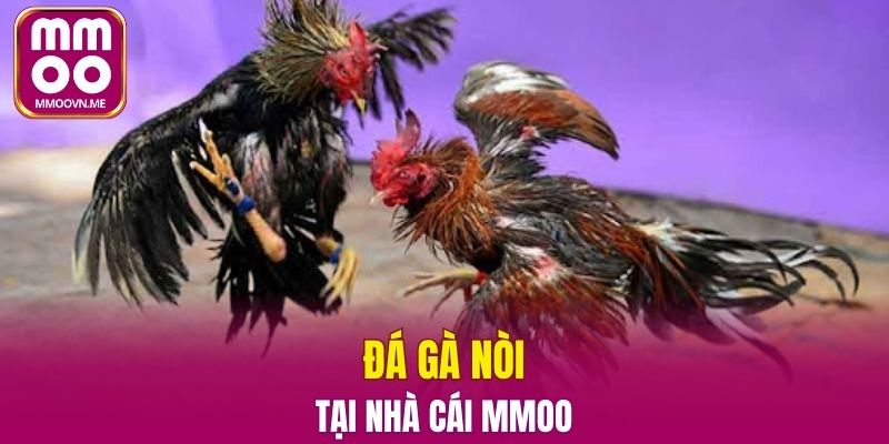 Cuộc so tài gay cấn và lôi cuốn