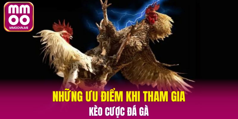 Những ưu điểm khi tham gia kèo cược đá gà
