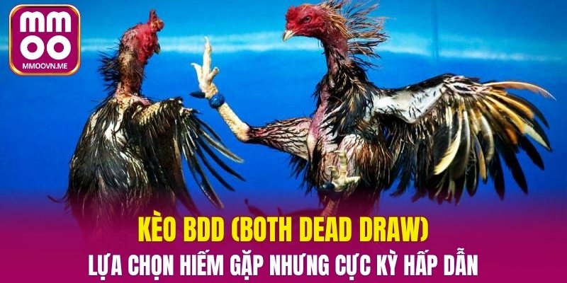 Phần thưởng từ kèo BDD vượt xa mong đợi