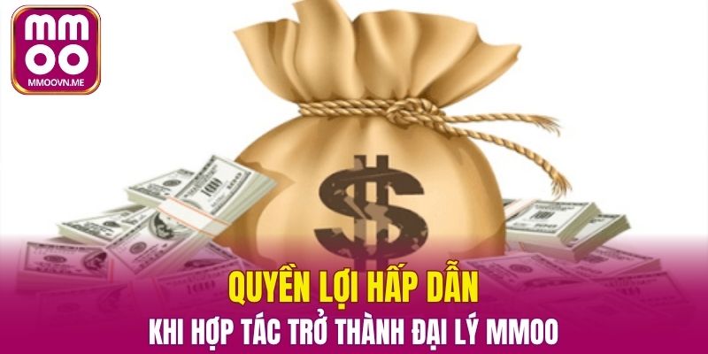 Quyền lợi hấp dẫn khi hợp tác trở thành đại lý MMOO