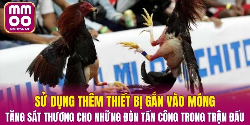 Thể loại đá gà kết hợp vũ trang phát triển mạnh mẽ